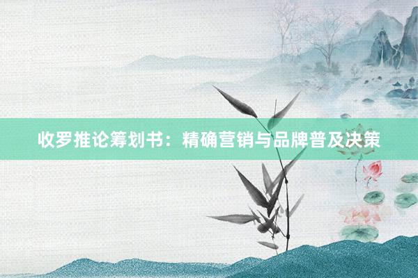 收罗推论筹划书：精确营销与品牌普及决策