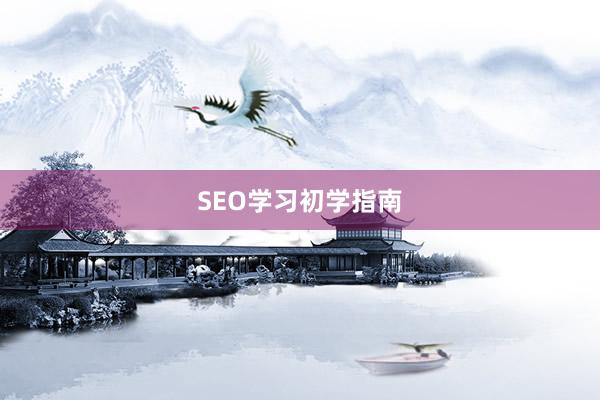 SEO学习初学指南