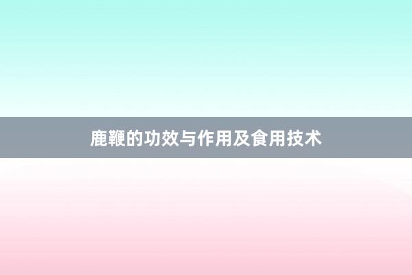 鹿鞭的功效与作用及食用技术