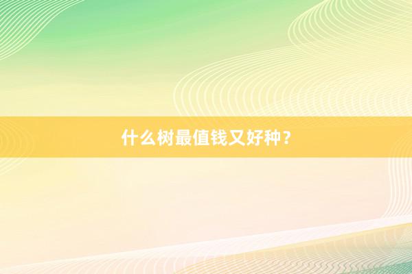 什么树最值钱又好种?