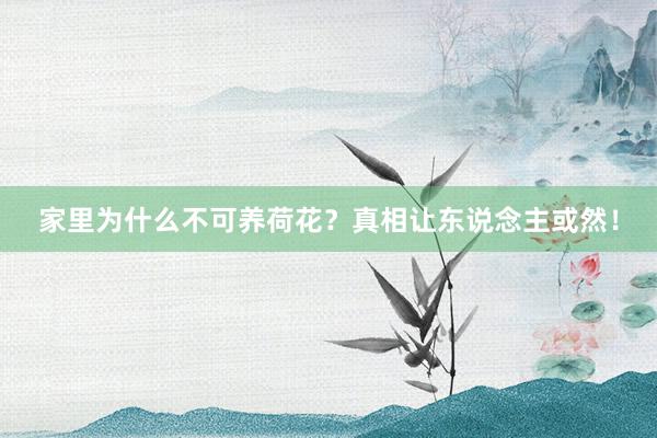 家里为什么不可养荷花？真相让东说念主或然！